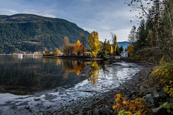 Hassie Harrison: styl i rola w nowym Słonecznym Patrolu
