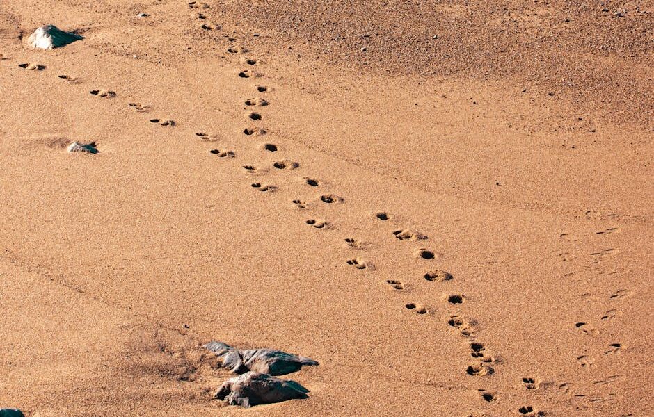 Brąz w modzie 2026 – eleganckie stylizacje i porady