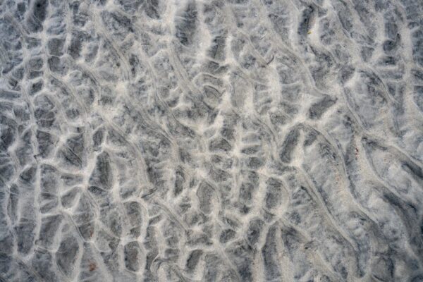 Harris Reed odchodzi z Nina Ricci — jak to zmieni modę?