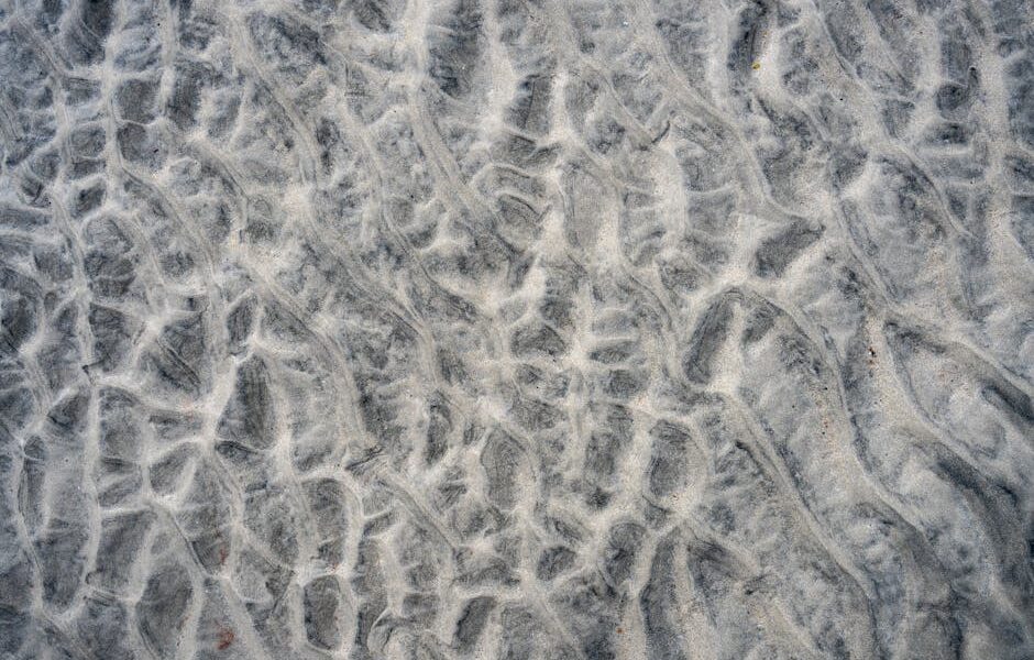 Harris Reed odchodzi z Nina Ricci — jak to zmieni modę?