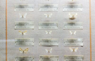 UE przepisy w modzie 2026 — skutki dla firm i rynku