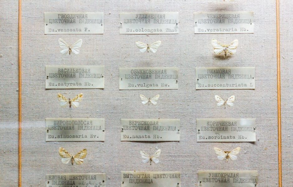 UE przepisy w modzie 2026 — skutki dla firm i rynku